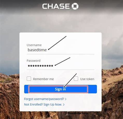 chase access token.